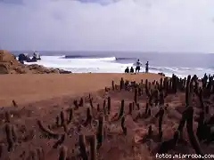 Punta de Lobos y sus olas son conocidas mundialmente por sus excelentes condiciones para el Surf.