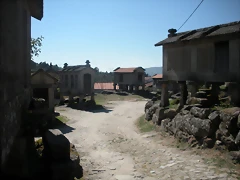 DSCN7869 DSCN7869