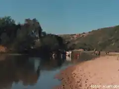 Un paisaje del campo, en el sector del Estero Nilahue, en El Maqui.