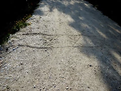 DSCN4436 DSCN4436