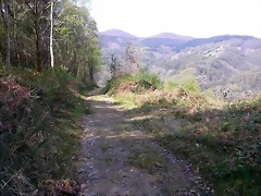 ruta Cascada Gorgollón Faedo ruta Cascada Gorgollón Faedo