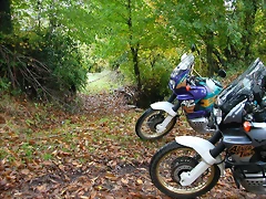 DSCN5952 DSCN5952