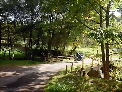 DSCN1228 DSCN1228