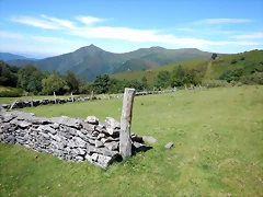 DSCN8323 DSCN8323