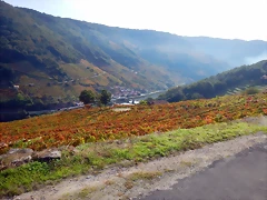 DSCN0561 DSCN0561