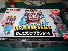 DSCN6295 DSCN6295