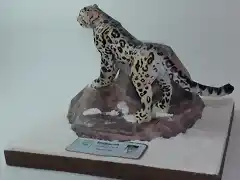 Leopardo de las nieves (2)