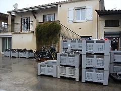IMG_9196 IMG_9196