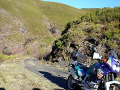DSCN8061 DSCN8061