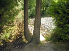 DSCN5347 DSCN5347