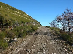 DSCN6830