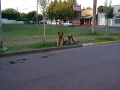 Imagen036 (2)
