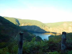 DSCN1061 DSCN1061