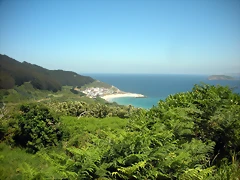 DSCN6761 DSCN6761