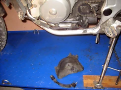IMG_1847 IMG_1847