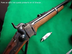 Cartuchos Sharps (14) Cartuchos Sharps (14)