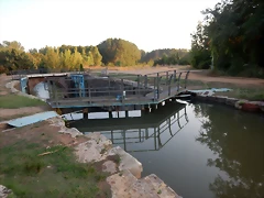 DSCN9554 DSCN9554