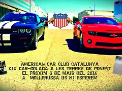 16 cartell