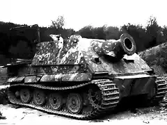 Sturmtiger_2