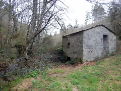 DSCN3001 DSCN3001