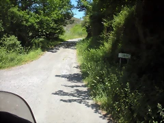 DSCN5804