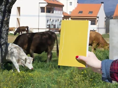 libreta-1 libreta-1