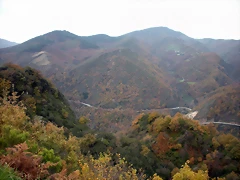 DSCN0594 DSCN0594