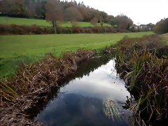 DSCN0585 DSCN0585