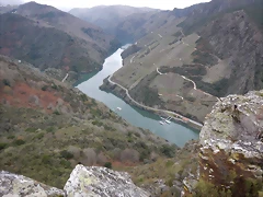DSCN0292 DSCN0292