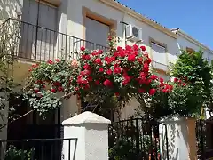 en la avenida, francisco roncero