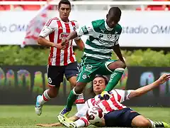 chivas