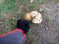 IMG_0406 IMG_0406