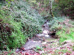 DSCN6281 DSCN6281