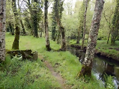DSCN9179