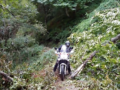 DSCN9818 DSCN9818