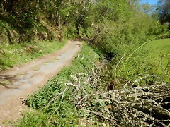 DSCN0068 DSCN0068