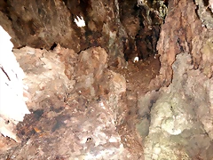 DSCN5386 DSCN5386