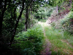 DSCN7498 DSCN7498