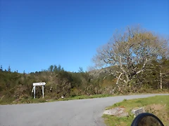 DSCN9031