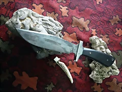 DSCF9917