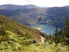 DSCN1339 DSCN1339