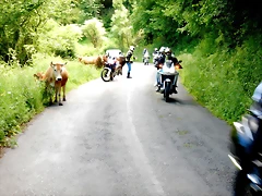 DSCN6767 DSCN6767