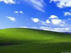 windows XP