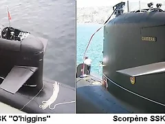 Scorpenes chilensis 2