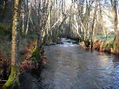 DSCN2081 DSCN2081