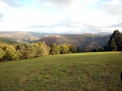 DSCN8474