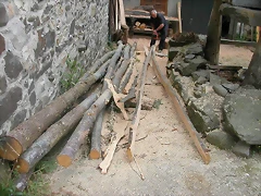 DSCN3931 DSCN3931