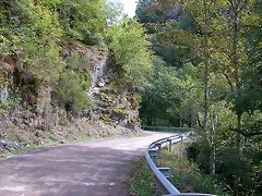 DSCN3237 DSCN3237