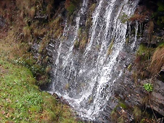 DSCN7152 DSCN7152