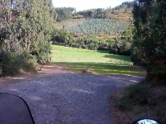 DSCN2135 DSCN2135